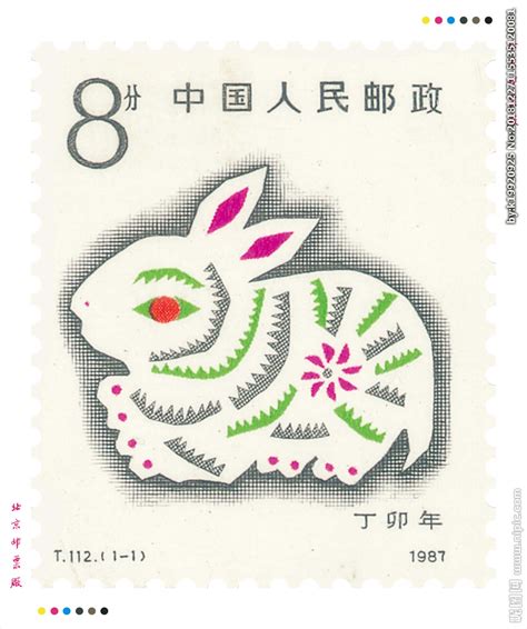 1963年兔